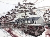 wda-workshops-pembroke-jpg
